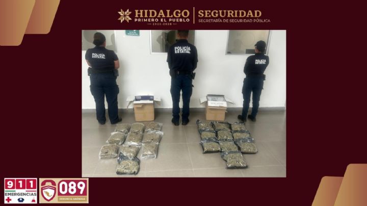 Aseguran cargamento de marihuana transportado por paquetería a su paso por Hidalgo