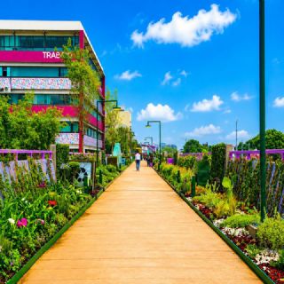 CDMX inaugura Jardín Flotante Tlallipan sobre Calzada de Tlalpan