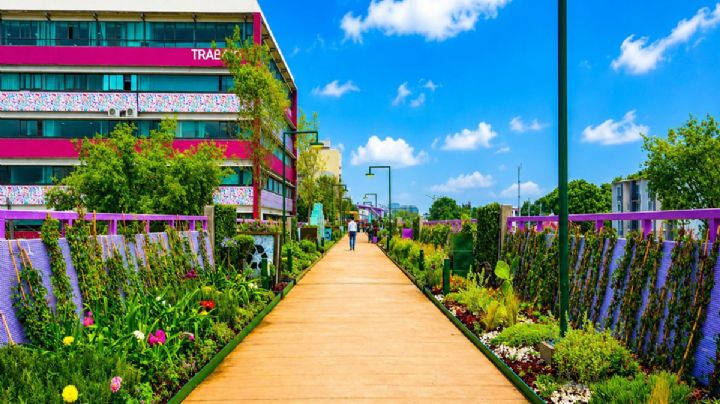 CDMX inaugura Jardín Flotante Tlallipan sobre Calzada de Tlalpan