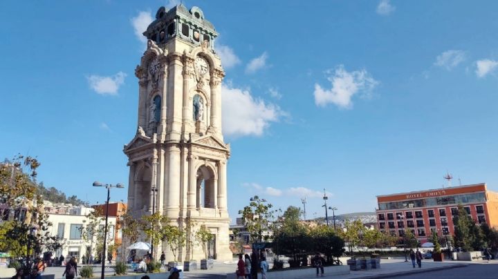Con pinos, olivos y truenos, Semarnath reforestará 80 áreas verdes de Pachuca
