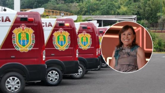 Estas son las empresas consentidas del gobierno de Rocío Nahle en la compra de vehículos oficiales