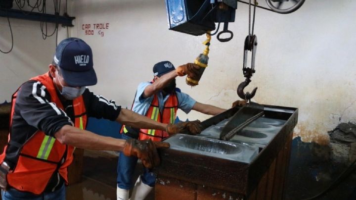 Hidalgo, la entidad con mayor crecimiento de empleo formal registrado por el IMSS