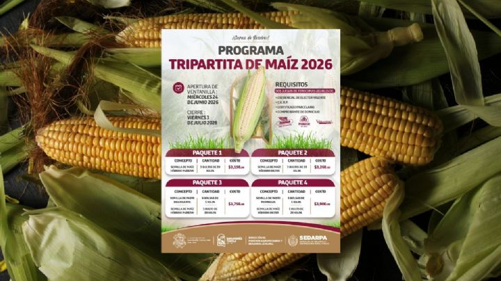 Programa Tripartita de Maíz 2026: estos son los apoyos y fechas de registro en San Andrés Tuxtla