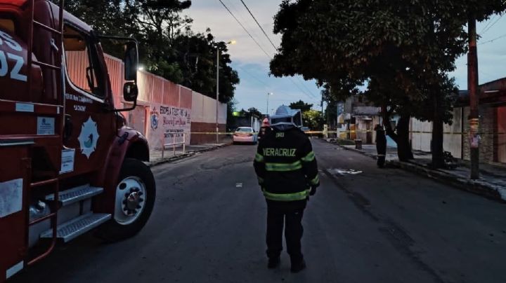 Ataque de abejas deja 3 lesionados en el puerto de Veracruz; un hombre está grave