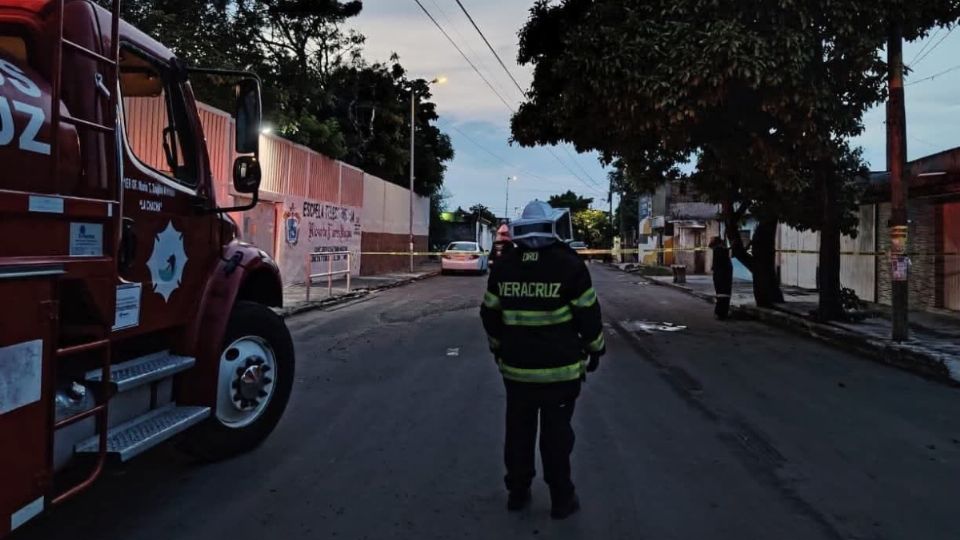 Ataque de abejas deja 3 lesionados en el puerto de Veracruz; un hombre está grave