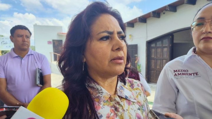 Desinformación e intereses políticos frenan parques de economía circular y fotovoltaicos: Semarnath