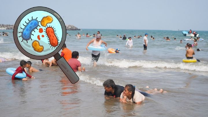 Estas son las 2 playas de Veracruz donde no deba nadar este verano 2026, por suciedad