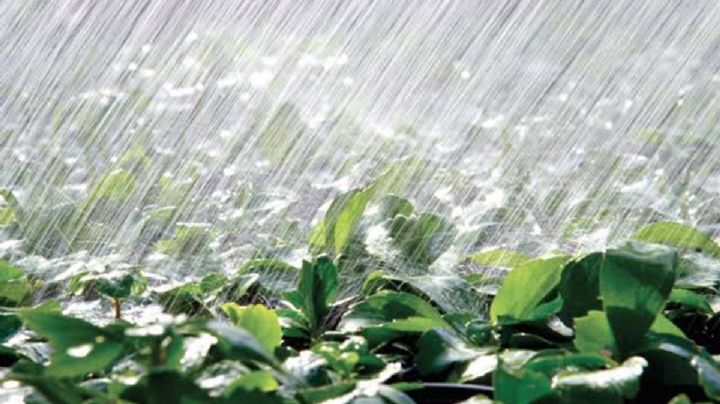 ¿Cómo estará el clima en Hidalgo este sábado?