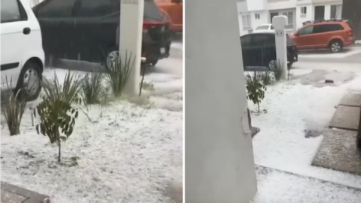 Se registra lluvia con granizo esta tarde en León