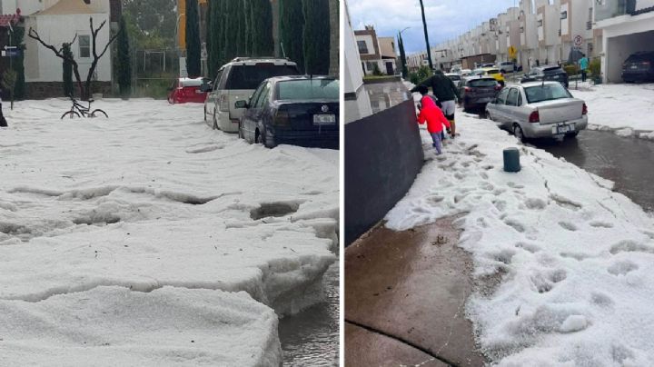 Un paisaje invernal dejó la granizada en Paseos de la Fragua, en León