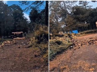 Video exhibe traslado de madera presuntamente ilegal en el Nevado de Toluca