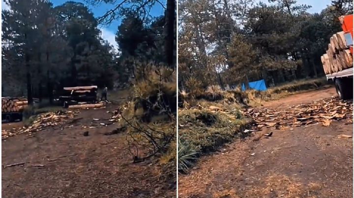 Video exhibe traslado de madera presuntamente ilegal en el Nevado de Toluca