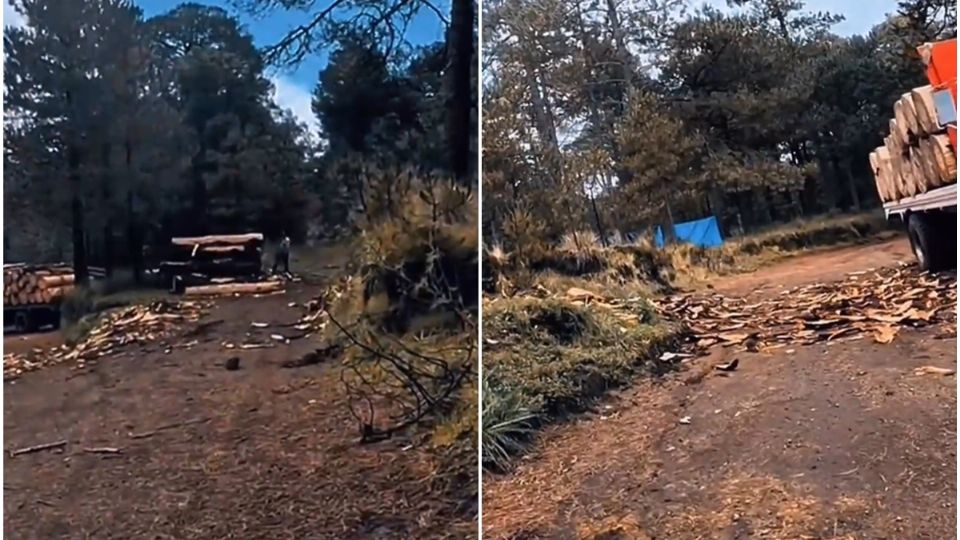 El caso volvió a dar visibilidad a un problema que habitantes, ejidatarios y organizaciones ambientales han denunciado desde hace varios años