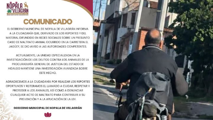 Investigan presunto caso de maltrato animal en Nopala de Villagrán