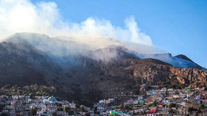 Van dos denuncias penales por provocar incendios forestales en Pachuca y Tlanalapa: Semarnath