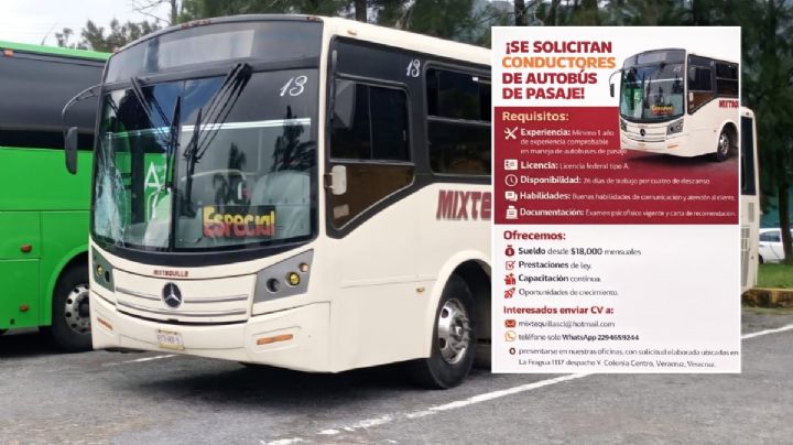Con sueldo de 18 mil pesos, esta ruta de camión de Veracruz busca choferes; requisitos