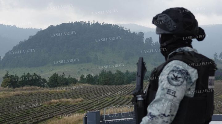 Ni 216 operativos frenan la tala clandestina en el Estado de México
