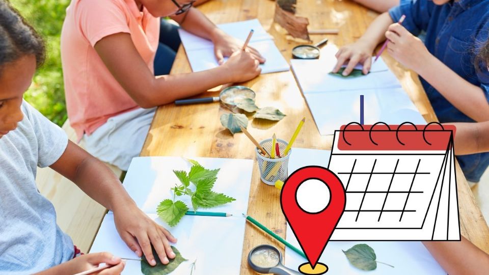 Vacaciones en Coatzacoalcos: Estos son los cursos de verano programados para niñas y niños