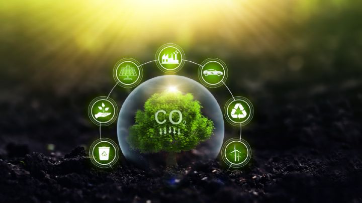 Sistema de comercio de emisiones: transformar emisiones en resiliencia
