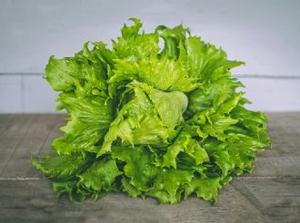 “Falso positivo” de lechuga mexicana en EU; descartan que contenga Cyclospora