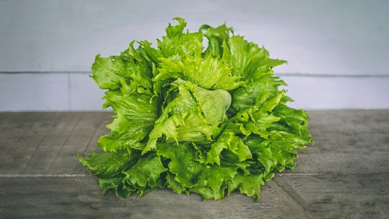 Lechuga mexicana es retirada en 27 estados de EU por brote de "diarrea explosiva"