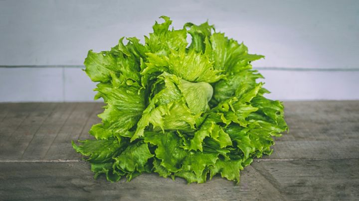 “Falso positivo” de lechuga mexicana en EU; descartan que cause “diarrea explosiva”