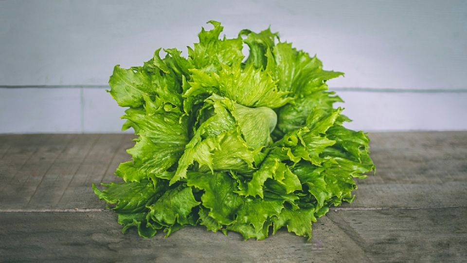 Diarrea explosiva en EU: escala retiro de lechuga mexicana en 27 estados