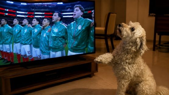 Perro "saluda" durante el Himno Nacional de México y se hace viral con su tierna reacción