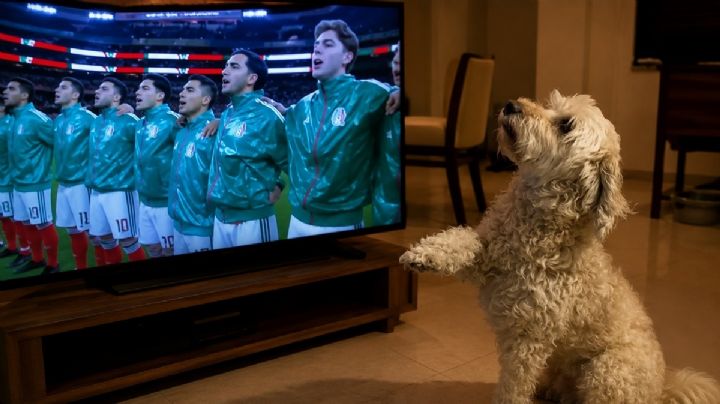Perro "saluda" durante el Himno Nacional de México y se hace viral con su tierna reacción