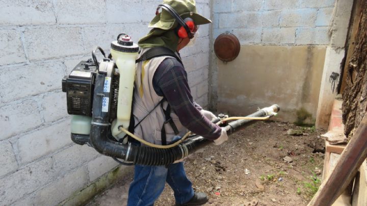 Hidalgo registra cuatro casos de dengue, con una erradicación del 88.5%