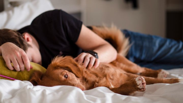 Nos hicieron creer que era flojera; la ciencia reivindica la siesta
