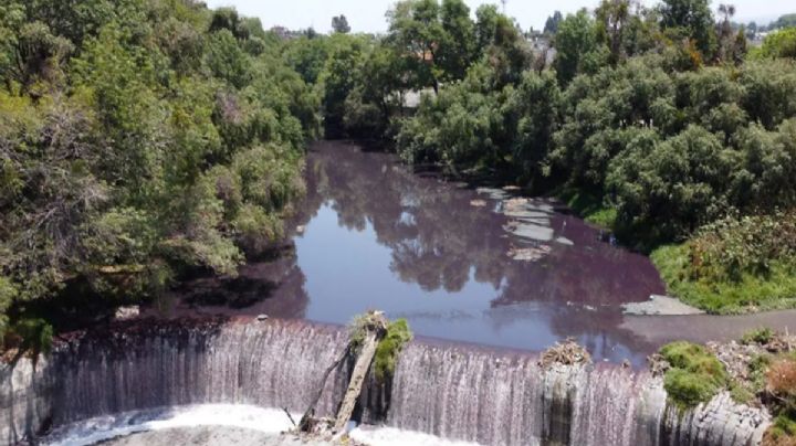 Químicos y metales pesados en el río Atoyac pueden afectar la fertilidad y el embarazo