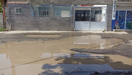 30 años sin drenaje: Colonia Amapolas de Veracruz, vivir entre olor a aguas negras