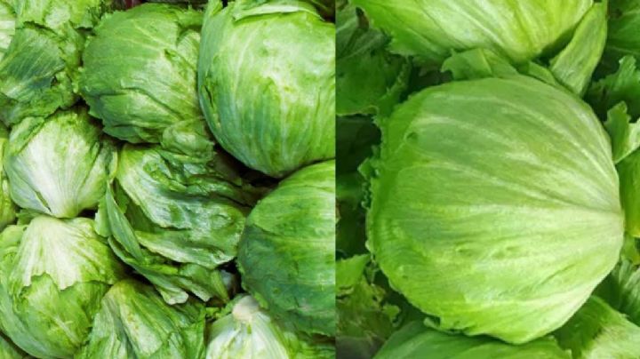 FDA insiste en que la investigación de la diarrea explosiva apunta a lechuga de Guanajuato