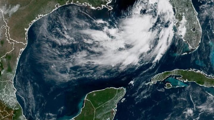 Tormenta Tropical ‘Bertha’ gana fuerza en el Golfo de México; activan alertas en Florida y Alabama