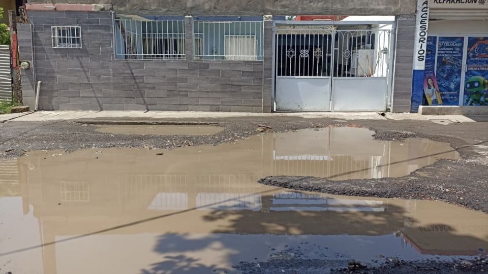 30 años sin drenaje: Colonia Amapolas de Veracruz, vivir entre olor a aguas negras
