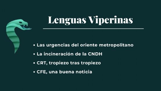 Lenguas Viperinas