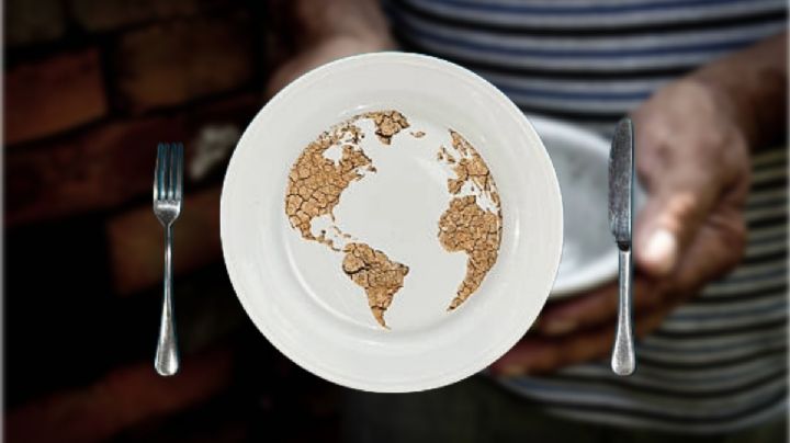 ONU revela cuántas personas padecen hambre en el planeta y el dato es alarmante