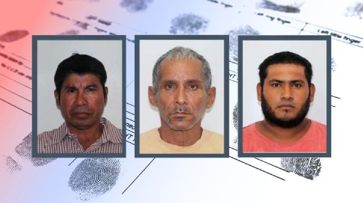 Fiscalía busca a familias de 3 veracruzanos localizados sin vida en Quintana Roo