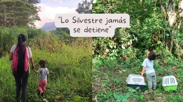 Investigación de la UV destaca la educación ambiental como clave para proteger la fauna nativa