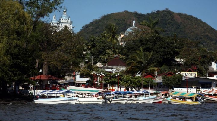 Catemaco convoca a su Primera Jornada Municipal de Reforestación; así puedes participar