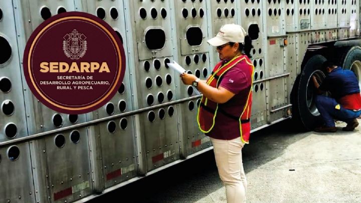 SEDARPA abre nuevas vacantes en Veracruz con salarios de hasta 24 mil pesos