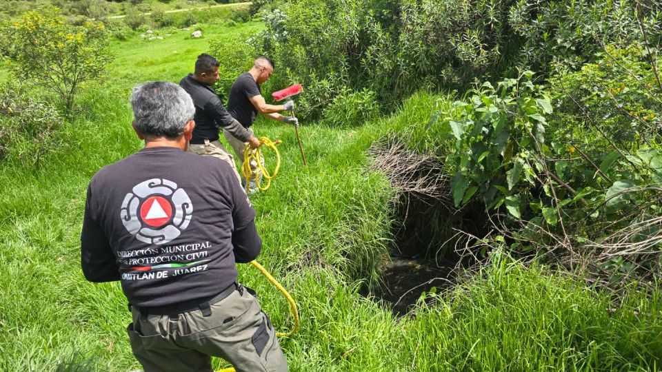 Tras el reporte emitido por vecinos de la zona, rescatistas implementaron maniobras especializadas para extraer al animal de manera segura, evitando lesiones mayores.