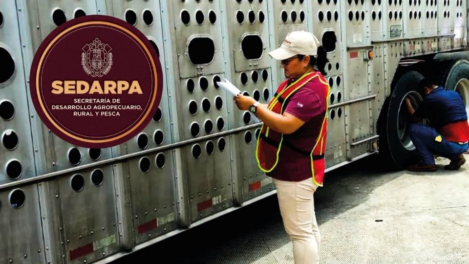 SEDARPA reabre convocatoria de empleo en Veracruz; ofrecen sueldos de hasta 24 mil pesos