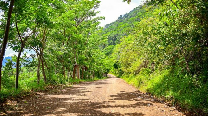 Inauguran rehabilitación de camino Los Órganos–Úrsulo Galván en San Andrés Tuxtla