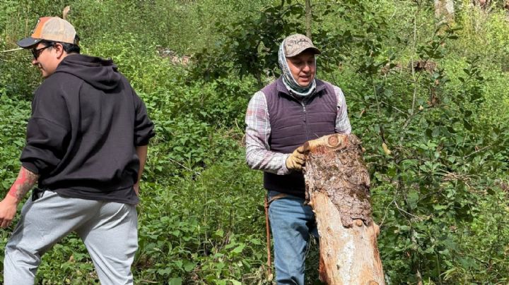 El Hiloche, bajo amenaza por el gusano descortezador; reinvertirán venta de madera en su recuperación
