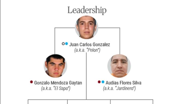 EU va contra nuevo líder del CJNG; destapa y sanciona estructura familiar y empresarial