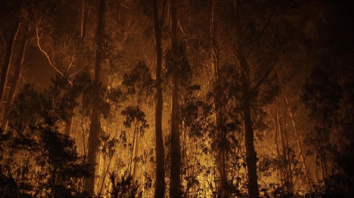 Europa enfrenta una nueva emergencia por incendios forestales que avanzan sin control en España y Francia