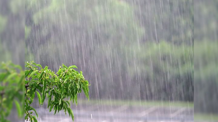 ¿Qué día regresan las lluvias a León? Se vienen tormentas