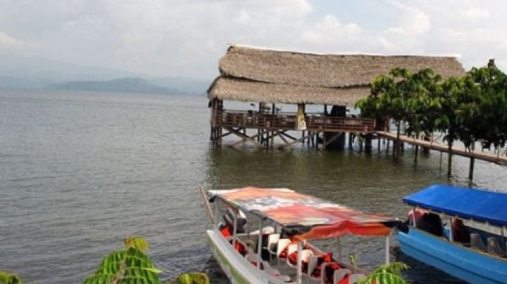 Invitan a taller sobre producción y conservación de especies nativas del lago de Catemaco